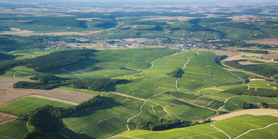 Découvrez les vins de Chablis
                