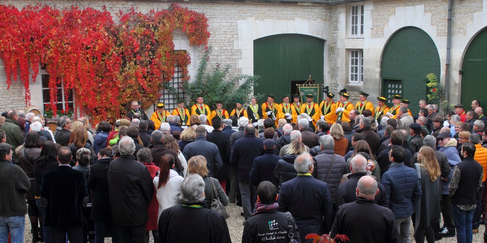 La Fête des vins et le baptême du millésime
                