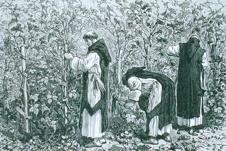 Moines vignerons - BIBLIOTHEQUE MUNICIPALE DE DIJON