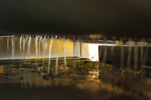 La vinification et l'élevage des vins de Chablis en Bourgogne