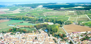 Climat de Chablis: Les Preuses