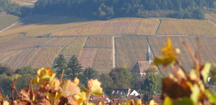 Climat de Chablis: Les Clos
