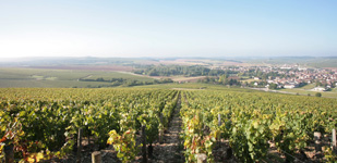 Climat de Chablis: Valmur