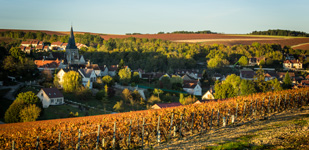 Climat de Chablis: Vau Ligneau