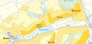 Climat de Chablis: Côte de Savant