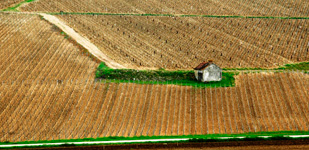 Climat de Chablis: Côte de Fontenay
