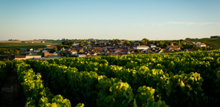 Climat de Chablis: Côte de Jouan