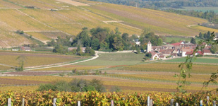 Climat de Chablis: Côte de Léchet