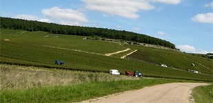 Climat de Chablis: Fourchaume