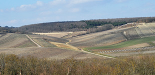 Climat de Chablis: Troesmes