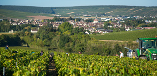 Climat de Chablis: Montée de Tonnerre