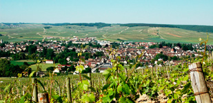 Climat de Chablis: Montmains