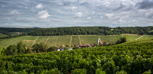 Climat de Chablis: Côte des Prés Girots