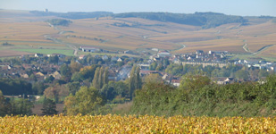 Climat de Chablis: Mélinots