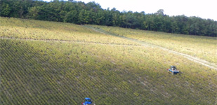 Climat de Chablis: Vau de Vey