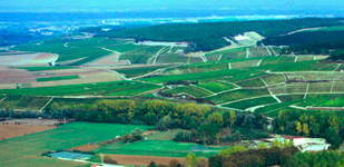 Climat de Chablis: Vaulorent