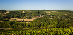 Climat de Chablis: L’Homme Mort