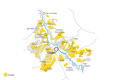 Le vignoble de Chablis