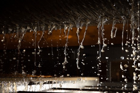 Fermentations et maturation