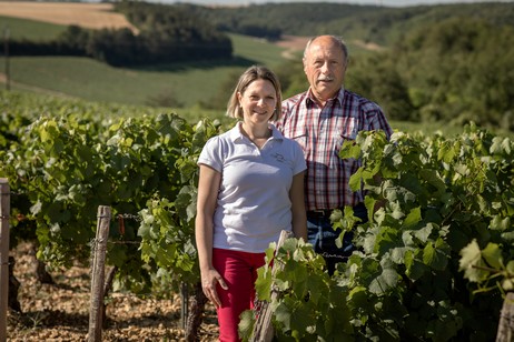 5 vignerons à découvrir