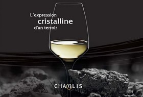 CHABLIS, l'expression cristalline d'un terroir