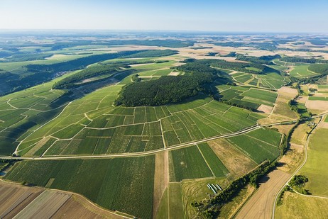 Climat Mont de Milieu