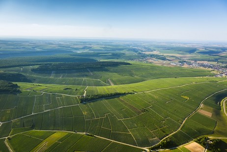 Climat porte-drapeau Montmains