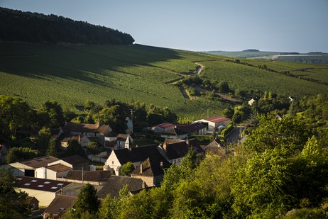 Climat Côte de Bréchain