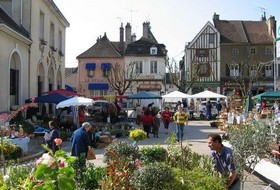 Marchés des vins et des fleurs