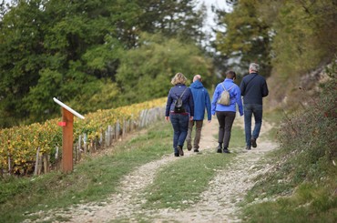 Visite de Chablis et des alentours