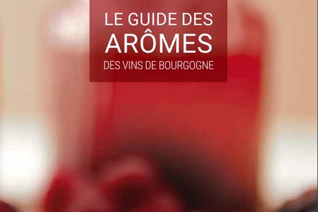 Guide des arômes 