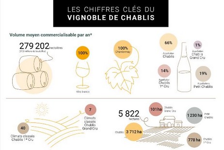 Les chiffres clés du vignoble de chablis