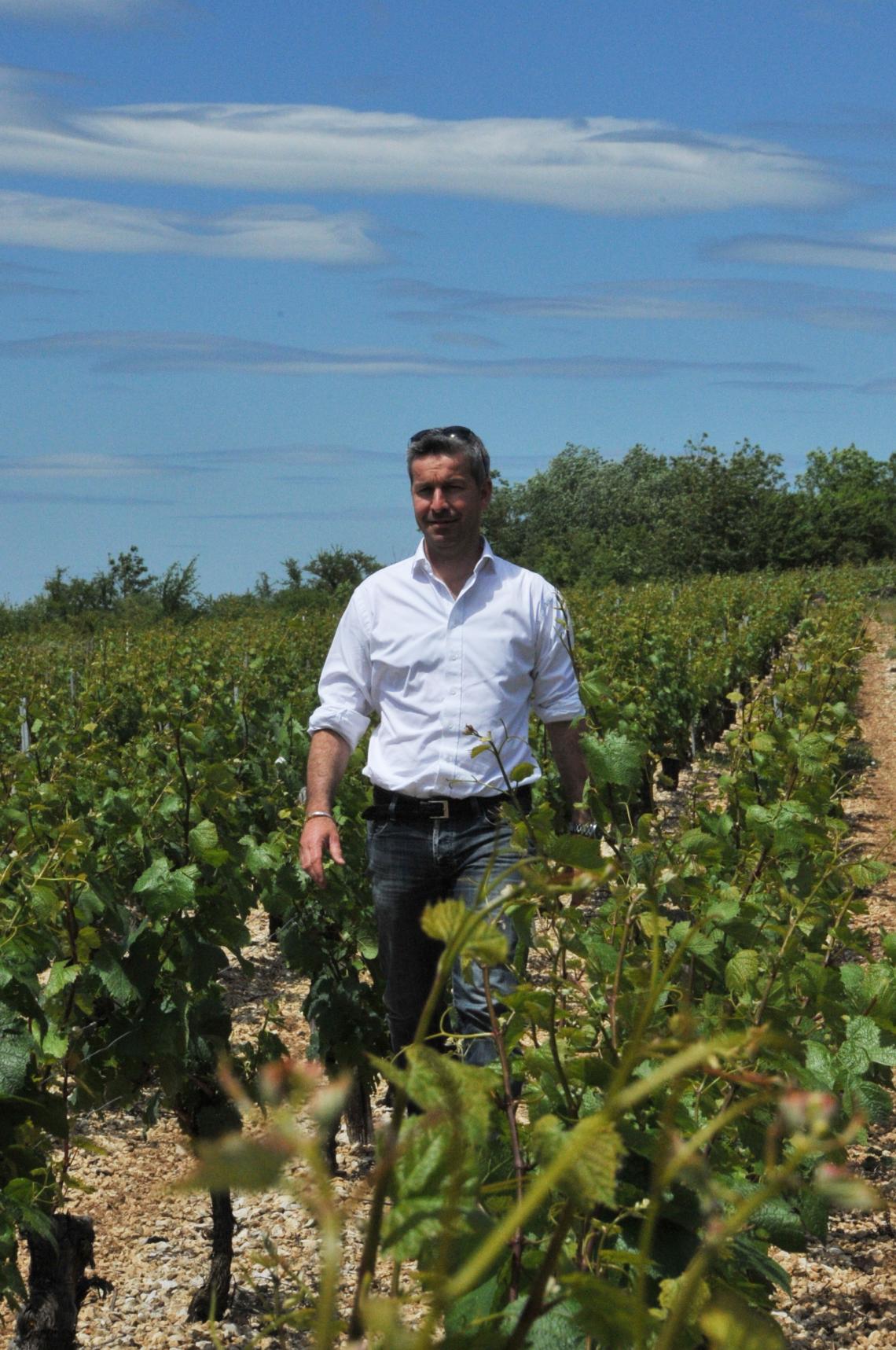 Benjamin Laroche dans les Vignes