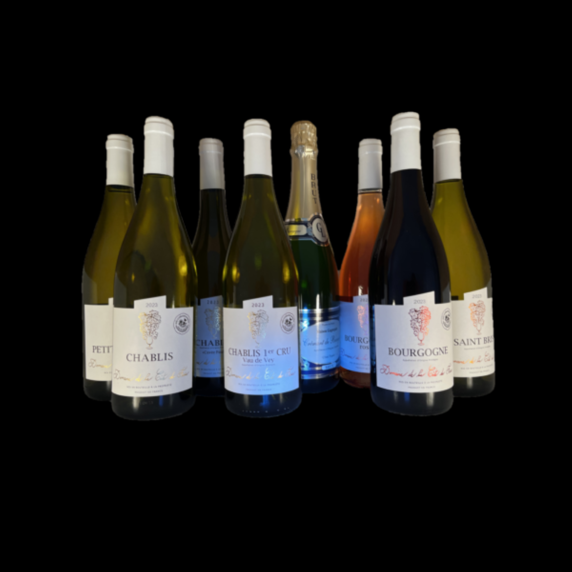 VINS 2023 ©Domaine de la Côte de Fasse - PNG