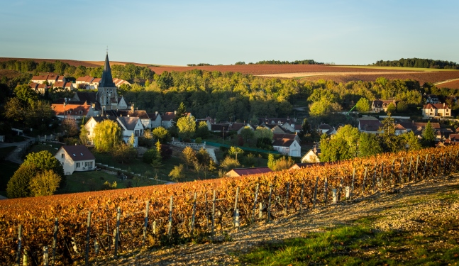 Chablis : Village de Beine 
                