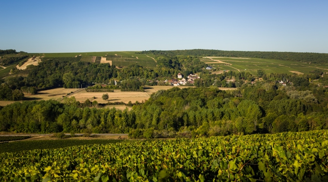 Chablis : Village de La Chapelle Vaupelteigne 
                