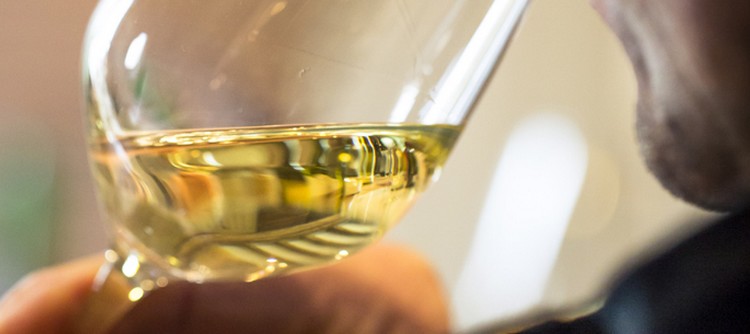 Vendanges à Chablis - Millésime 2014 Vendanges à Chablis - Millésime 2014