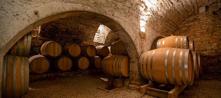 Tout l'été, l’Office de Tourisme propose chaque jour la visite d’un domaine à la découverte des métiers de la vigne et du vin Tout l'été, l’Office de Tourisme propose chaque jour la visite d’un domaine à la découverte des métiers de la vigne et du vin