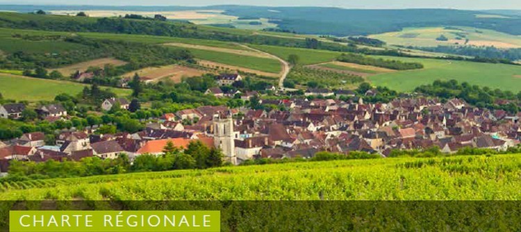 L'engagement de la filière pour maîtriser l’usage des produits phytosanitaires L'engagement de la filière pour maîtriser l’usage des produits phytosanitaires
