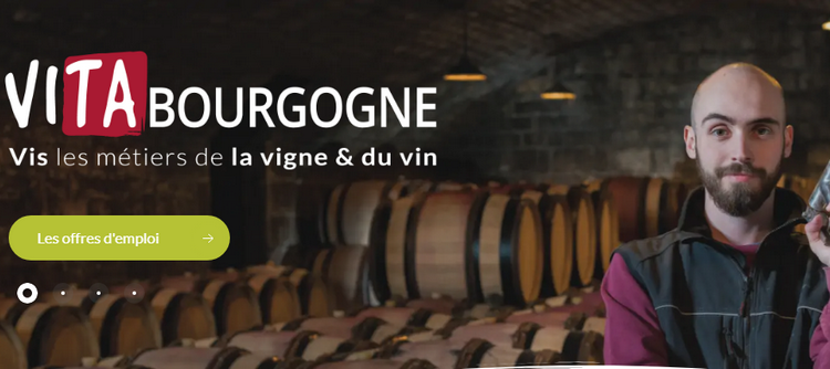 Vita Bourgogne