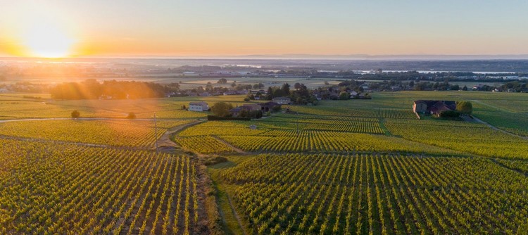 Le BIVB et les acteurs de la filière des vins de Bourgogne se projettent en 2050 Le BIVB et les acteurs de la filière des vins de Bourgogne se projettent en 2050