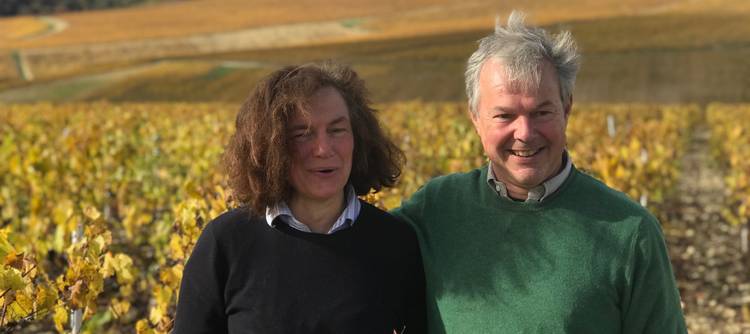 Le Château de Viviers : un nouveau domaine en conversion bio à Chablis Le Château de Viviers : un nouveau domaine en conversion bio à Chablis