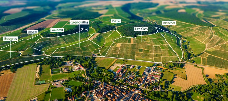 Chine 70 nouvelles AOP de Bourgogne protégées