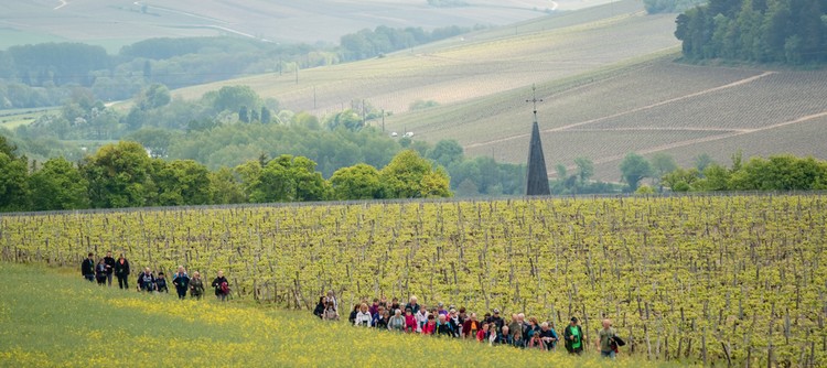 © Chablis bouge son Cru, Balade Gourmande du Chablisien © Chablis bouge son Cru, Balade Gourmande du Chablisien