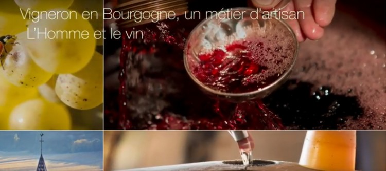 court-métrage "L'Homme et le vin"