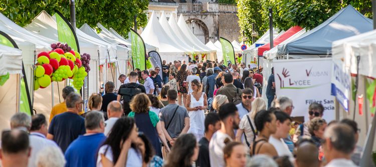 Fleurs de vigne 2023 à Auxerre : un public conquis et un soleil radieux !