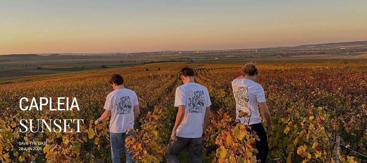 Capleia Sunset, une soirée au milieu des vignes de Chablis