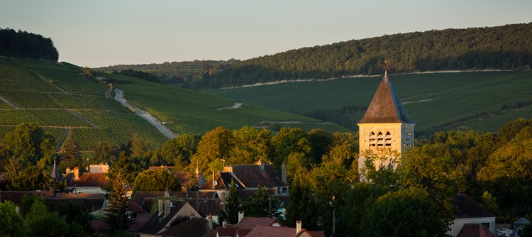 Chablis marché nocturne