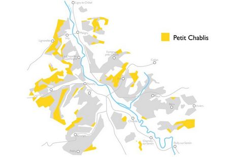 Le vignoble de Chablis 