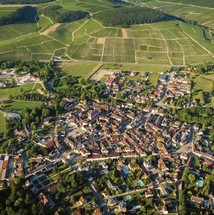 Chablis Grand Cru